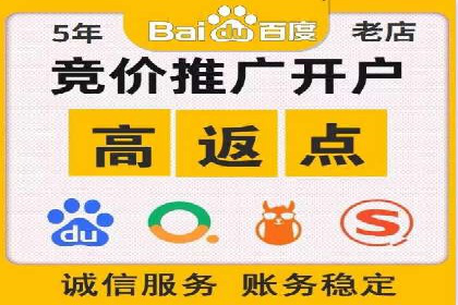 网络推广中的竞价广告：成功案例解析